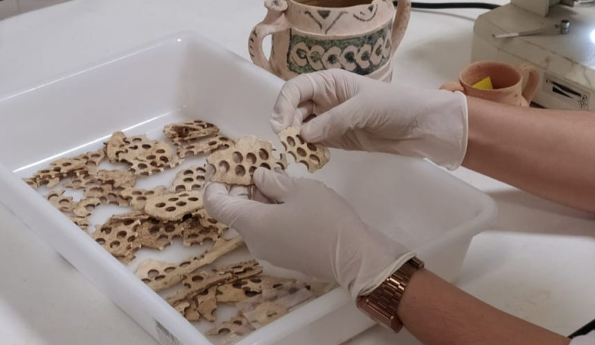 Cultural VLC 860x500 - 03 BUENA