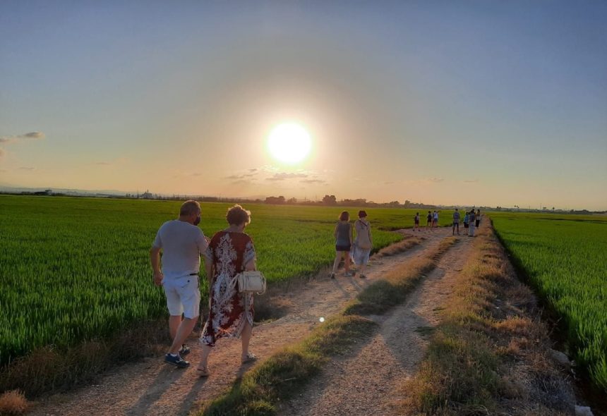 visites albufera_rec